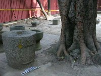 藏品(石壟)的圖片
